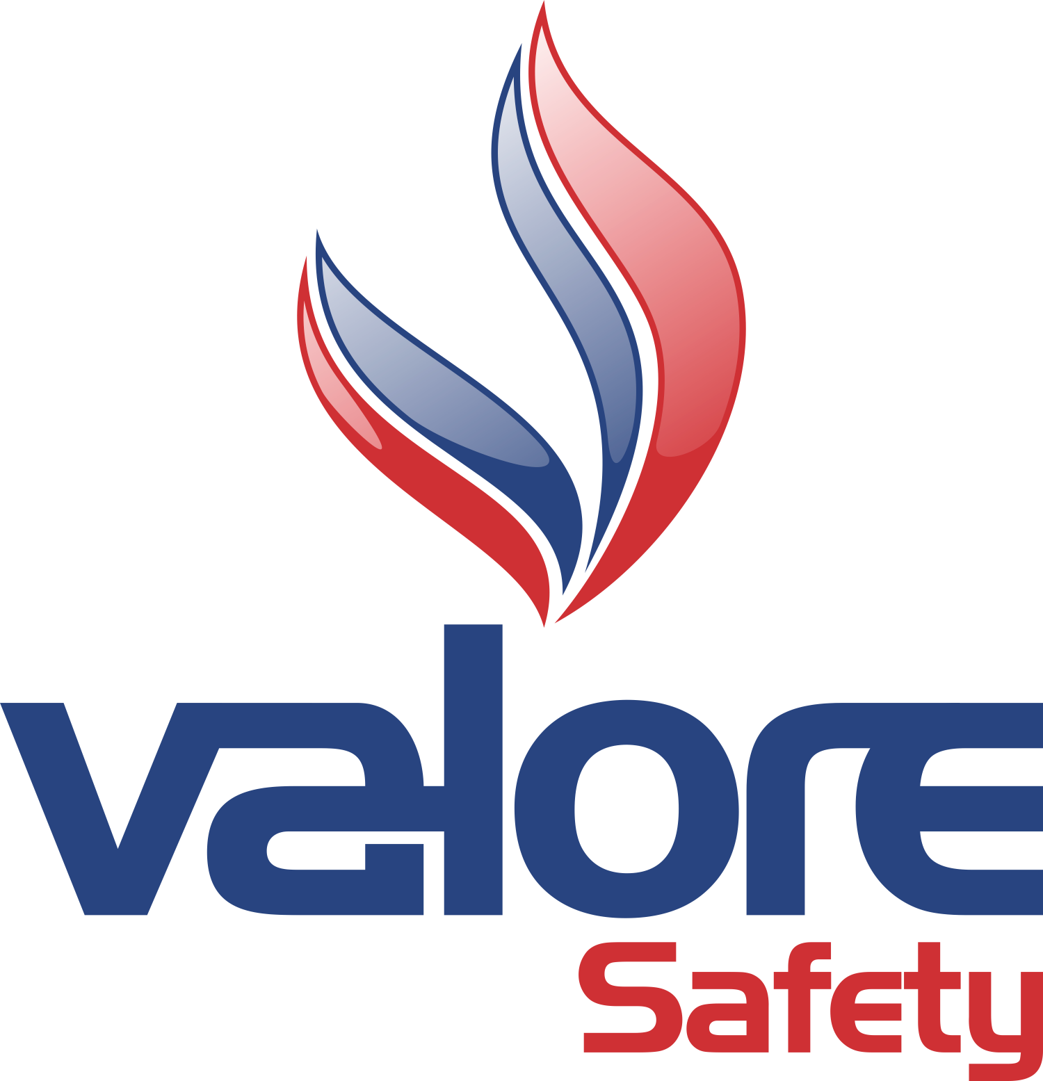 Logo Valore Safety