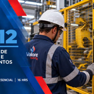 NR12 - Proteção de Máquinas e Equipamentos